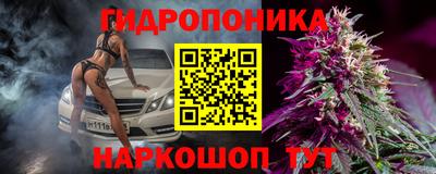 круглые Кингисепп