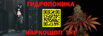 круглые Кингисепп